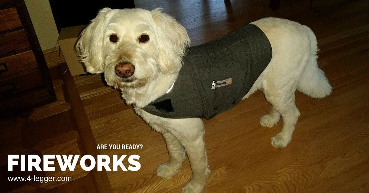 Are You Ready for the Fireworks?