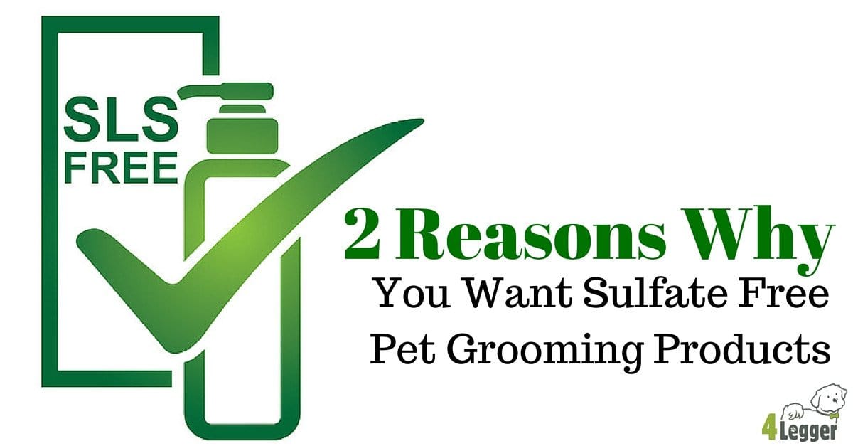 Sulfate Free Dog Shampoo | All Natural Dog Shampoo