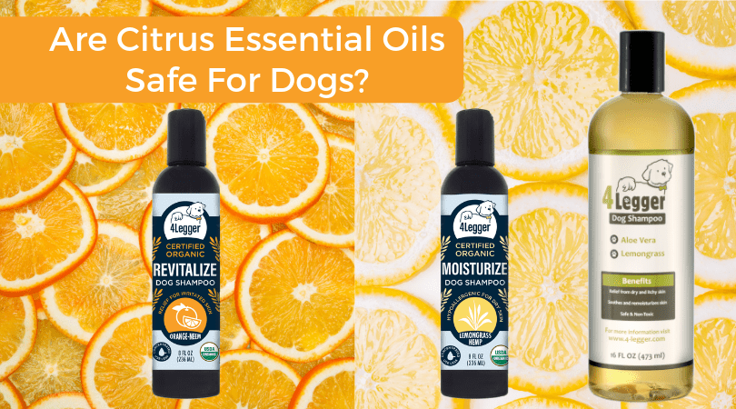Are citrus essential oils safe for dogs?