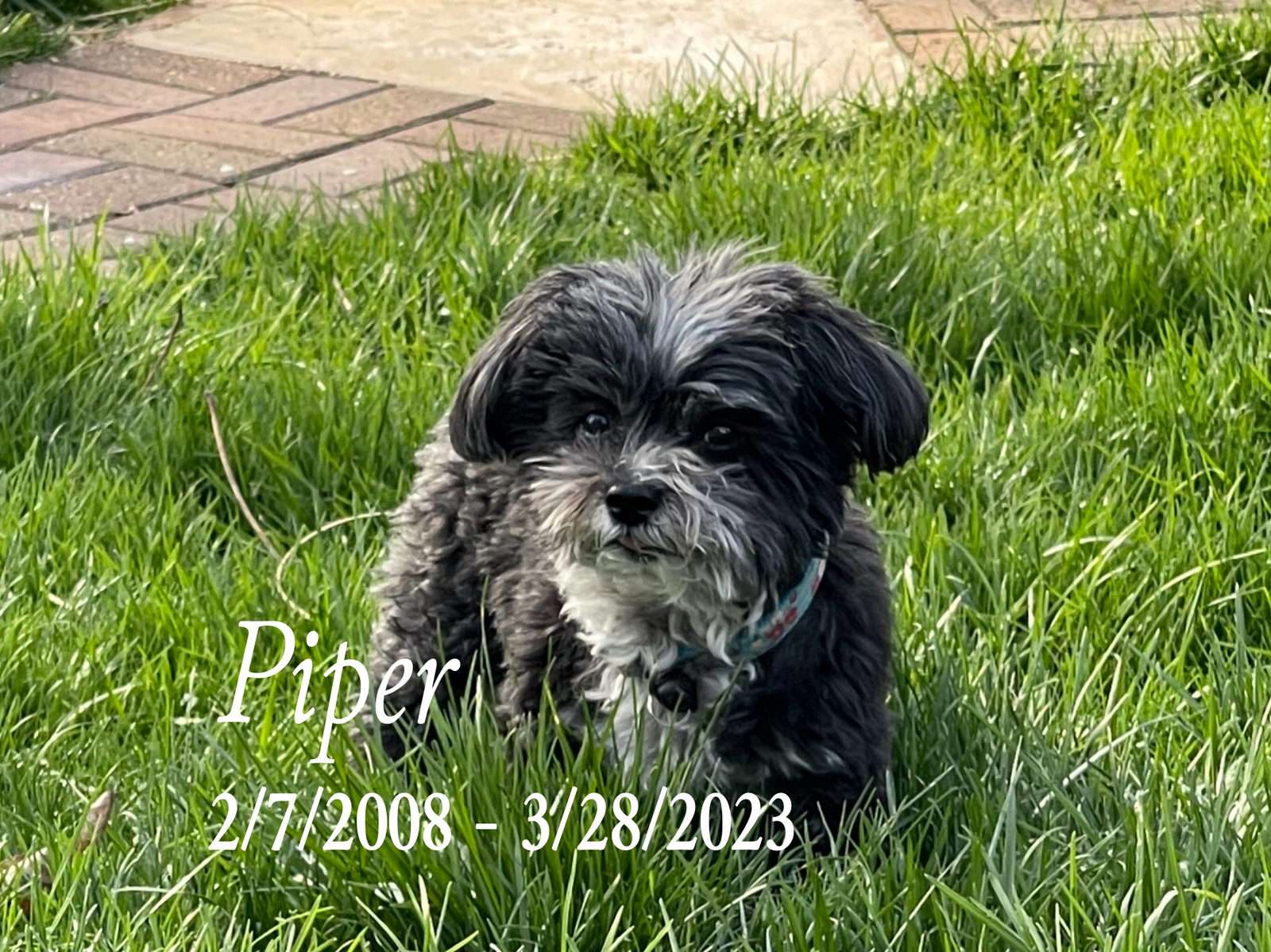 Another Blog We Never Wanted to Write