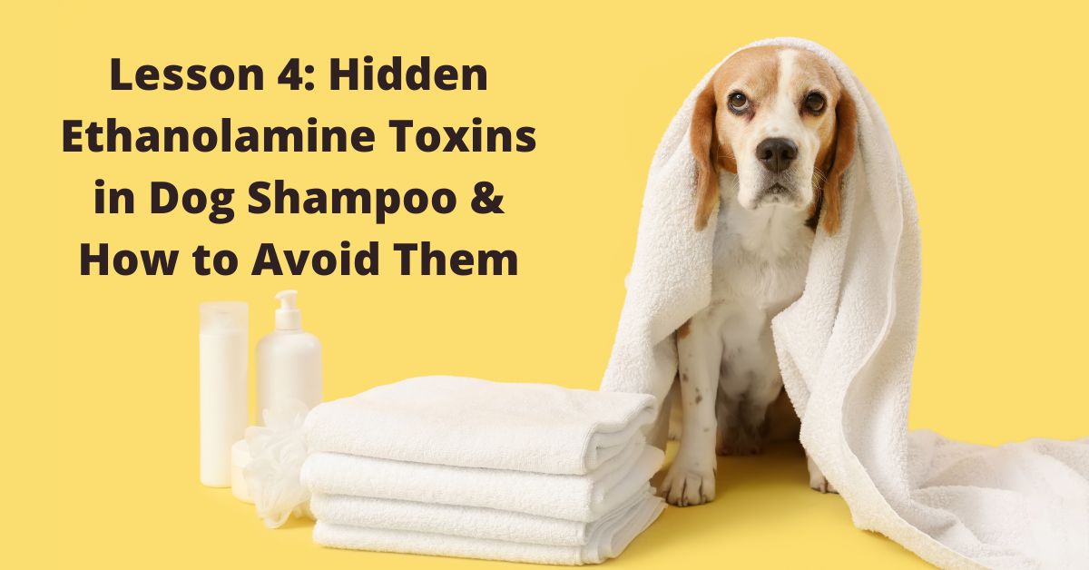 Hidden Dangers of Natural Dog Shampoo