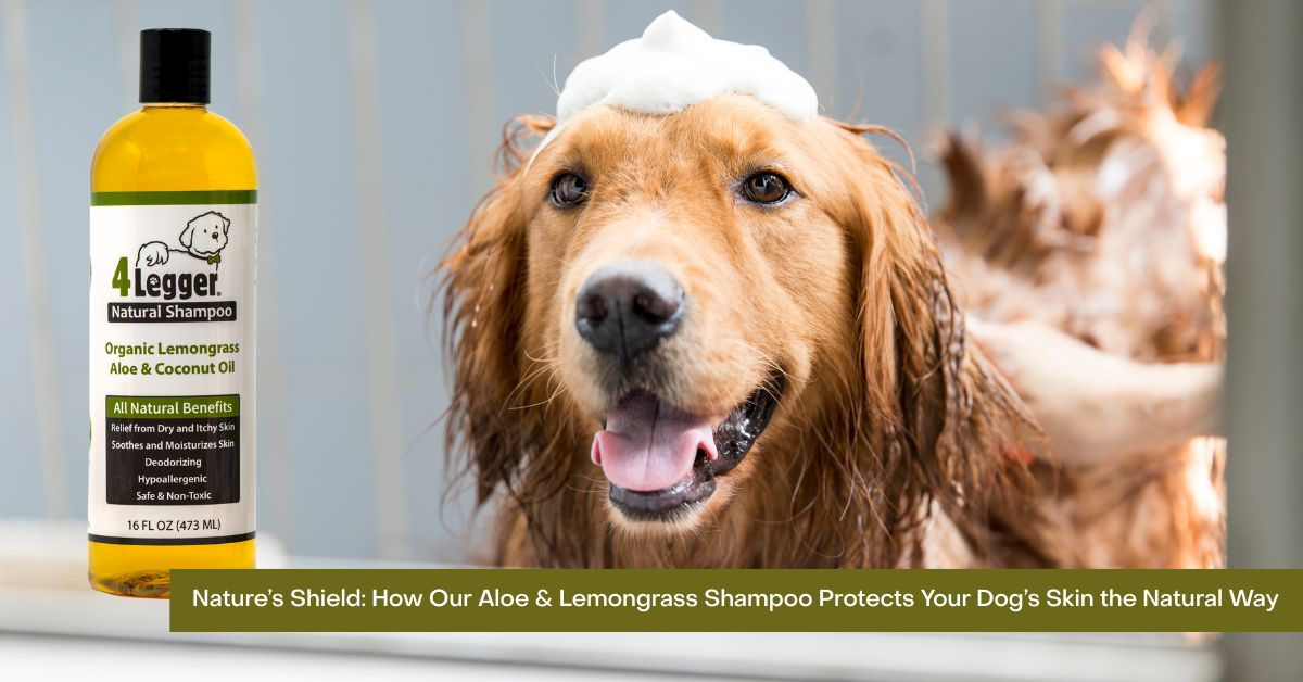 Organic Lemongrass Dog Shampoo