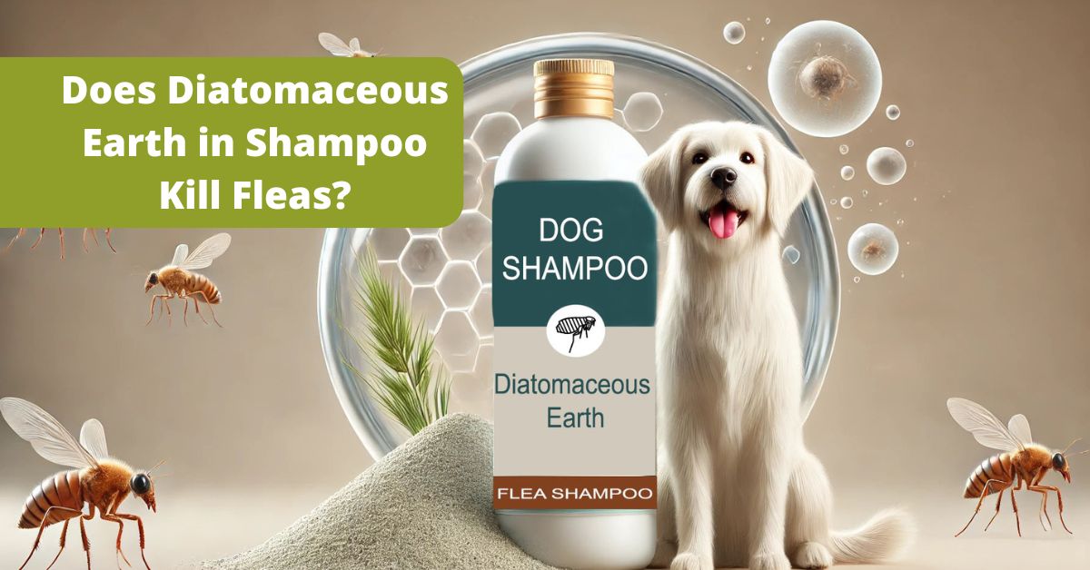 Is Diatomaceous Earth in Shampoo Really Effective for Killing Fleas?