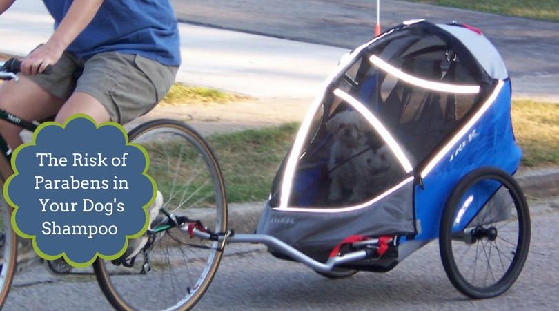 Parabens in Organic Dog Shampoo?