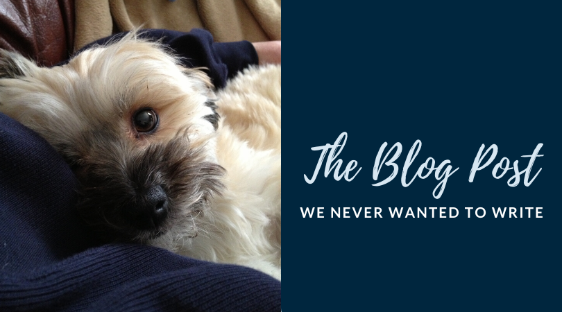 4-Legger says goodbye to Tobie the iconic brand mascot