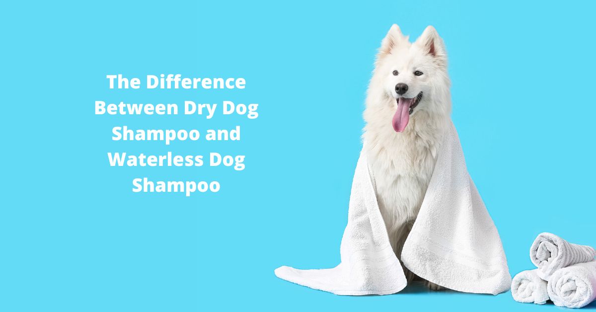 is dry dog shampoo safe? is waterless dog shampoo safe?