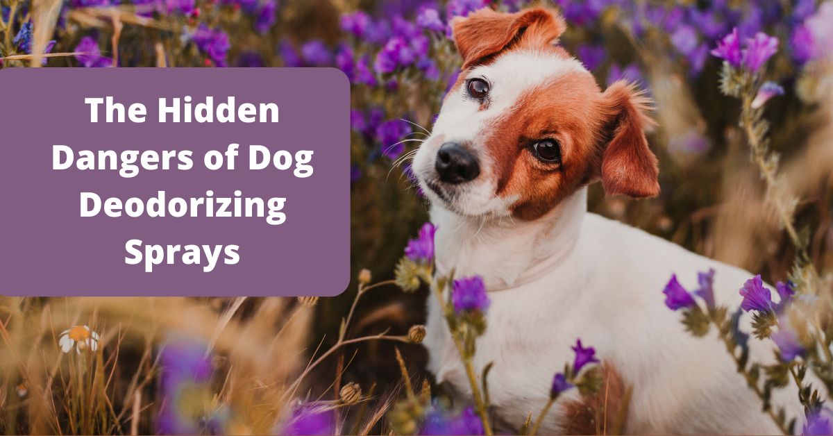 Best Dog Deodorizing Spray Organic Safe