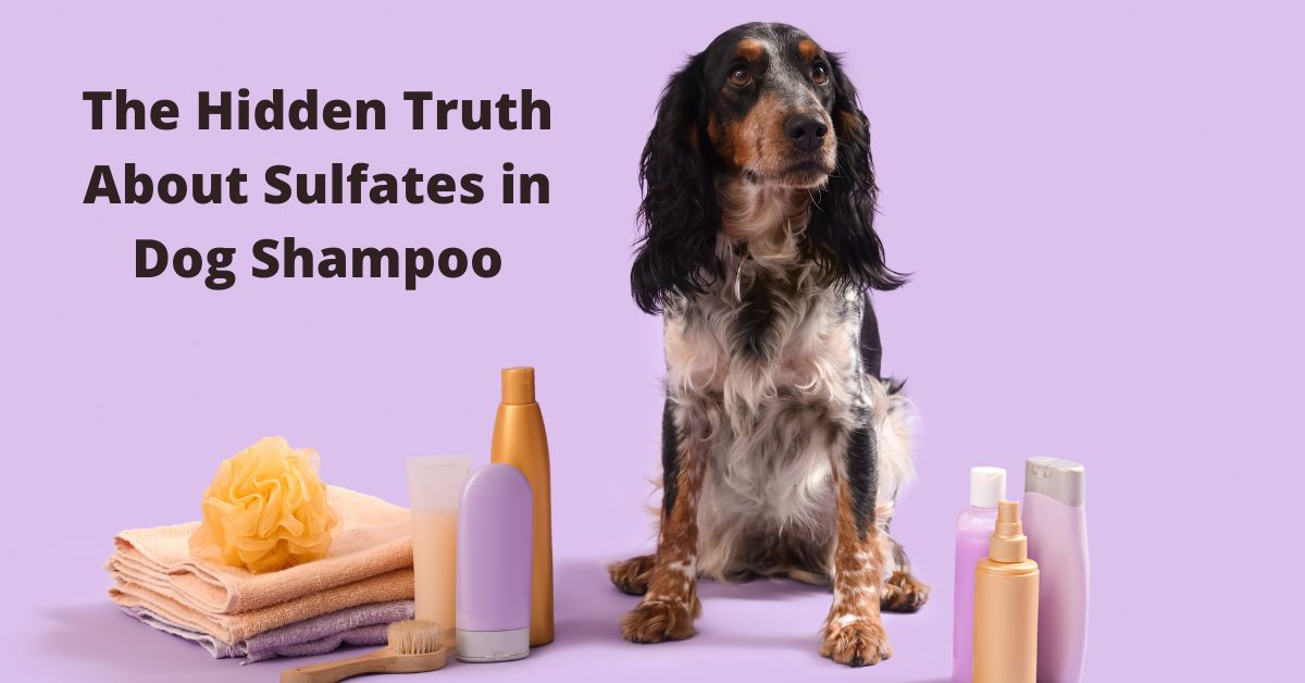 Sulfate Free Dog Shampoo