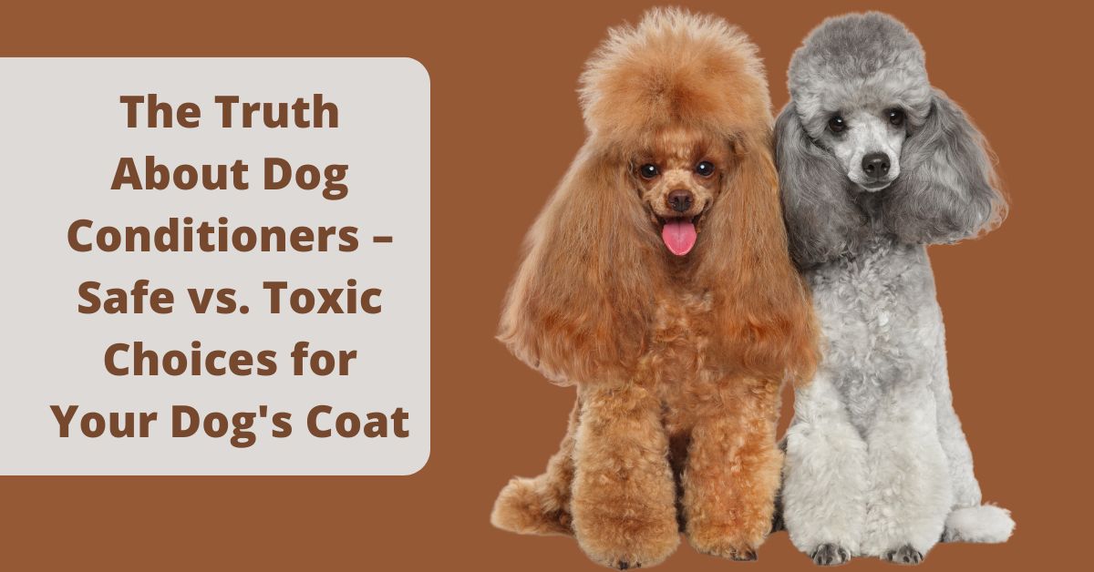Are conditioners safe for my dog