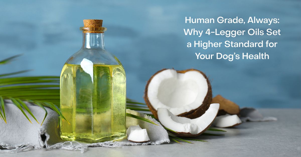 4-Legger uses the best oils in the best dog shampoo