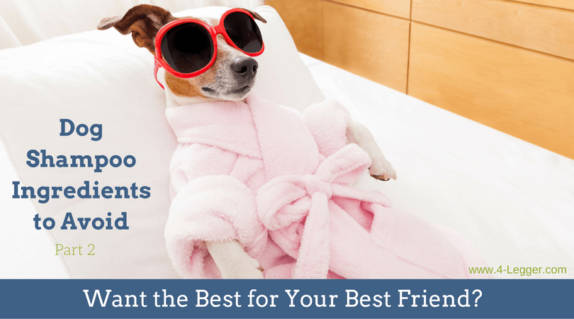 Organic Dog Shampoo | Paraben Free Dog Shampoo