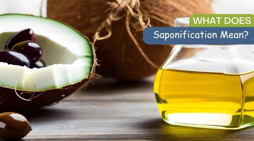 best coconut oil dog shampoo by 4-Legger