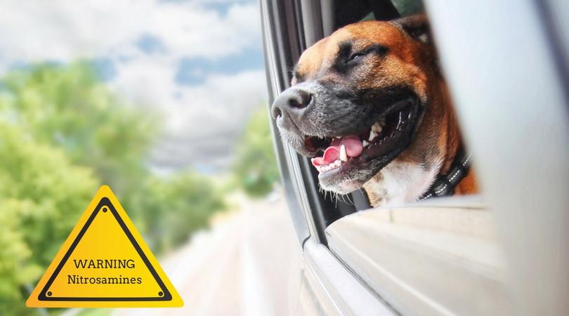 diethanolamine free dog shampoo | chemical free dog shampoo