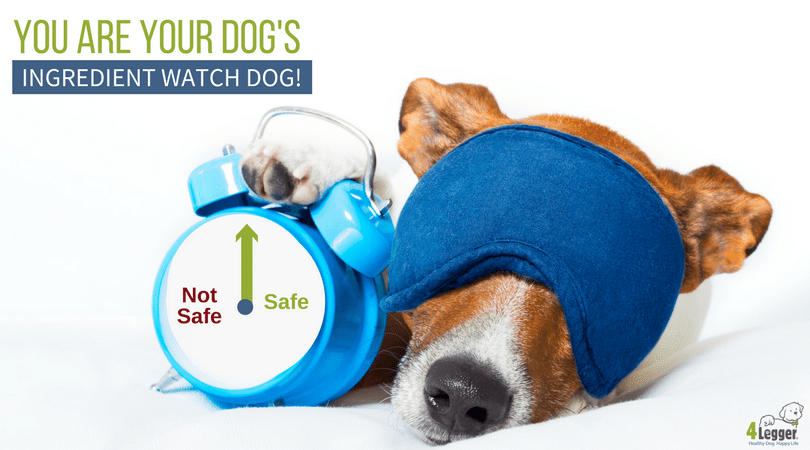 The best organic dog shampoo uses safe ingredients