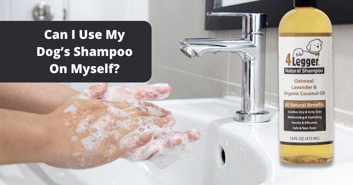 Can I Use my dog's shampoo on myself