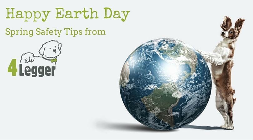 Our Top 10 Spring Time Safety Tips for Your 4-Legger