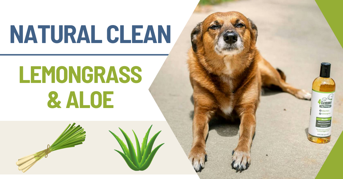 hypoallergenic dog shampoo for sensitive skin