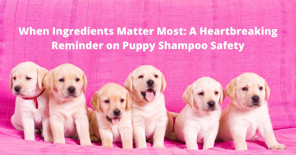 how to find a puppy safe shampoo