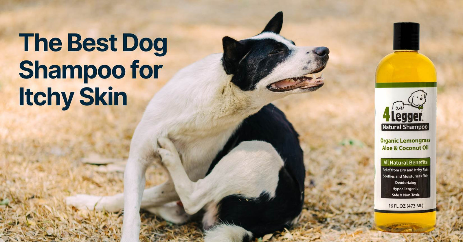 what is the best dog shampoo for itchy skin