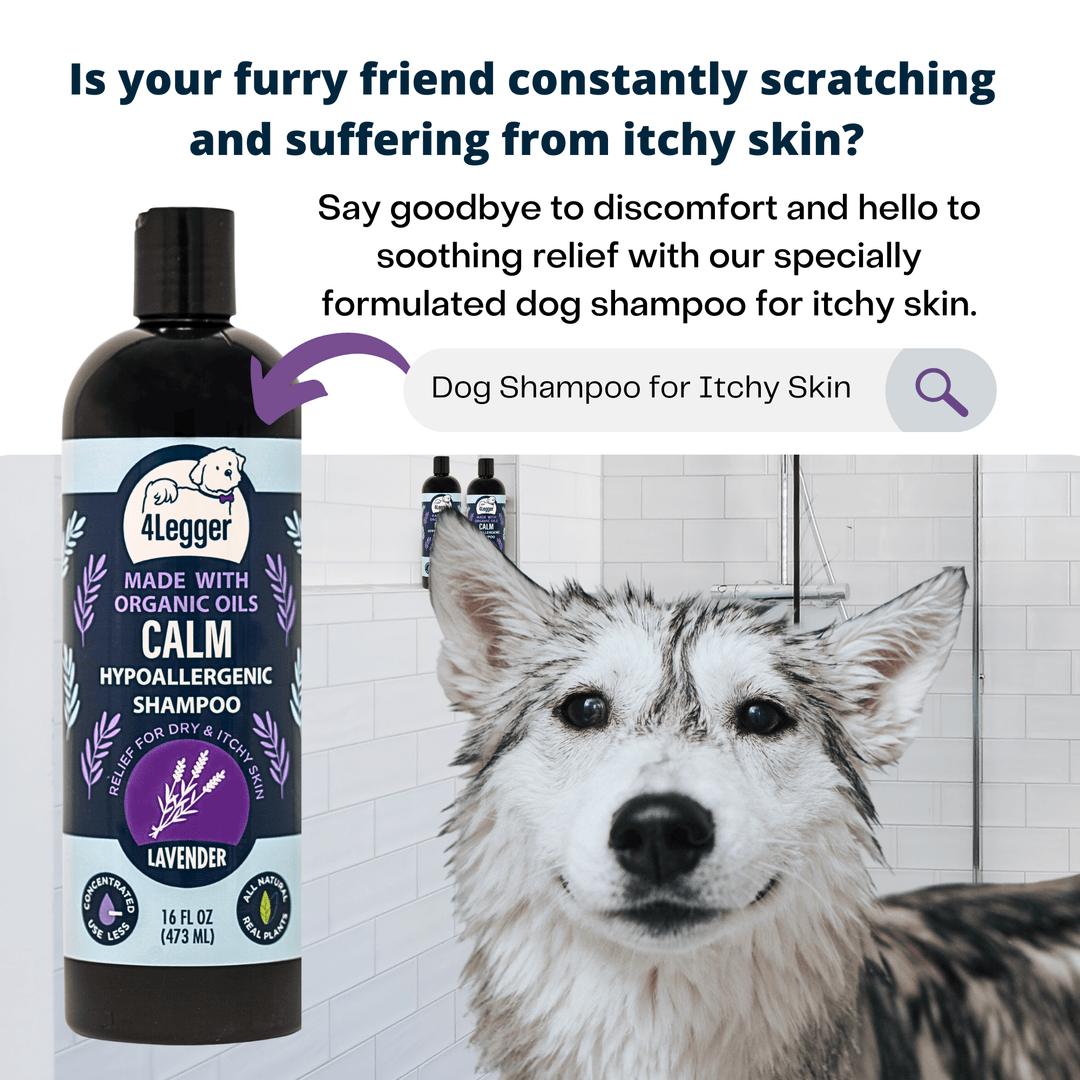 CALM Lavender Natural Dog Shampoo with Calendula and St. John's Wort