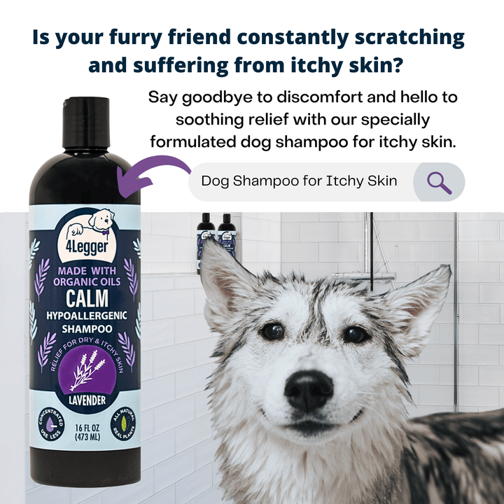 CALM Lavender Natural Dog Shampoo with Calendula and St. John's Wort