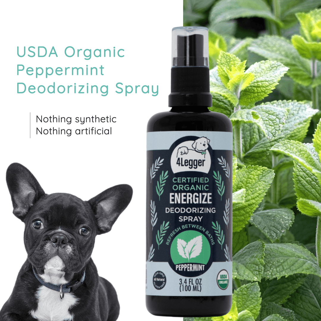 deodorizing dog spray peppermint ginger