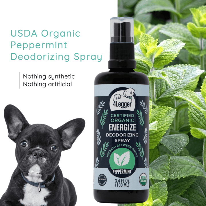 deodorizing dog spray peppermint ginger