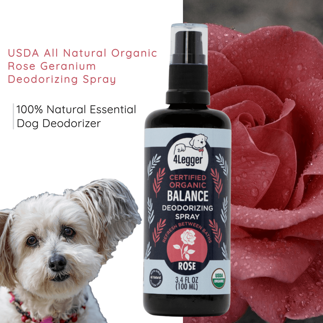 essential oil dog deodorizer