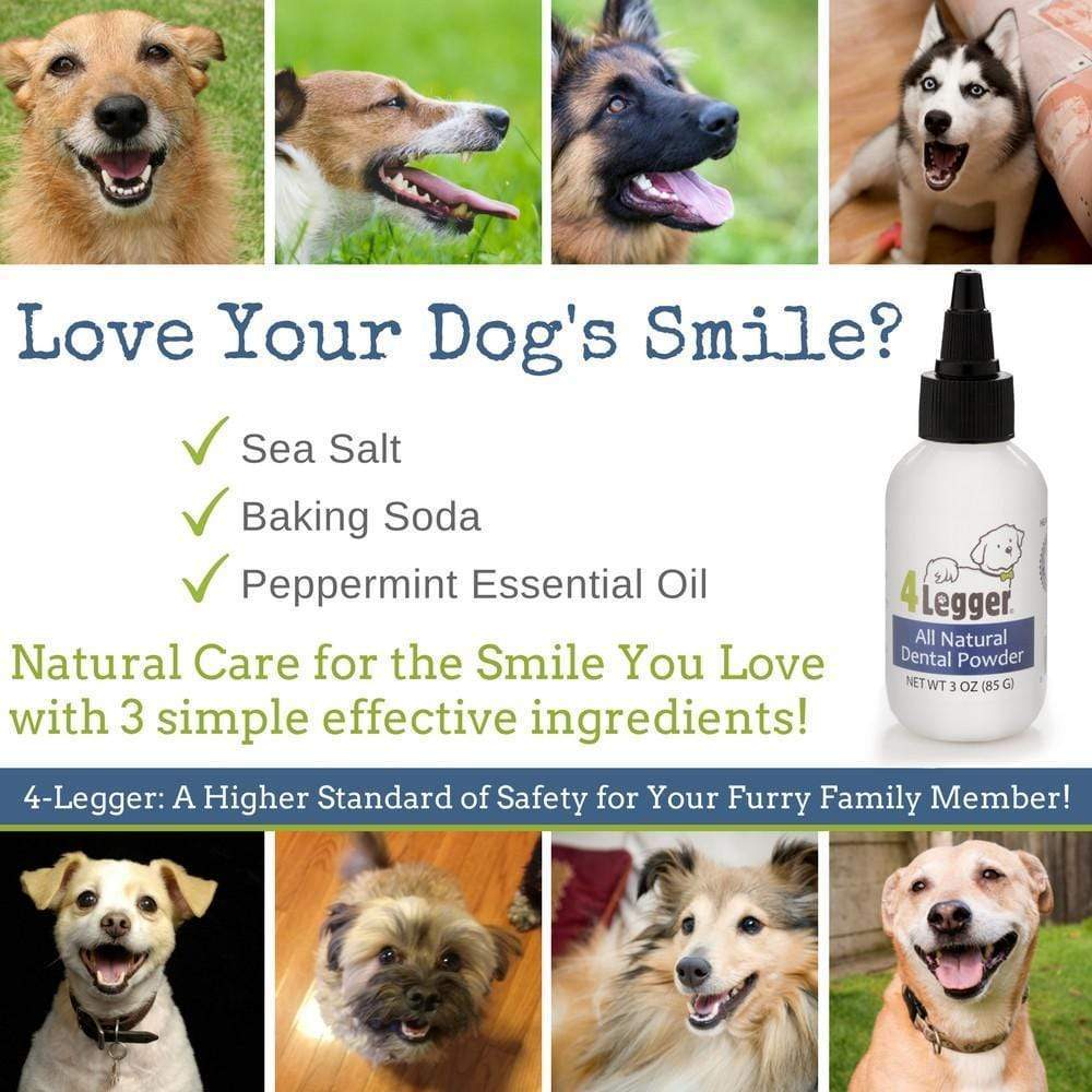 Dental Care for Your Dog | Dog Toothpaste | Safe & Non-Toxic - 4-Legger | mint dog toothpaste alternative