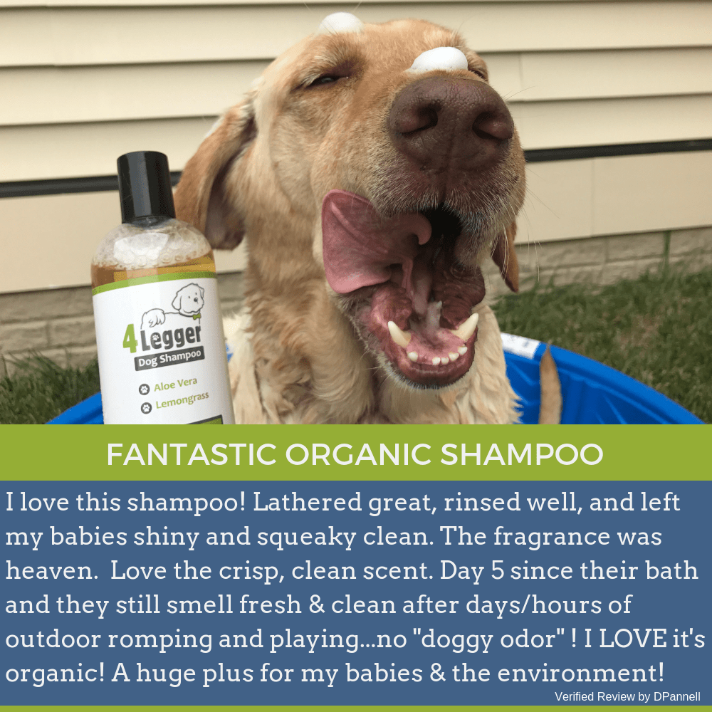 organic dog shampoo | dog shampoo for itchy skin