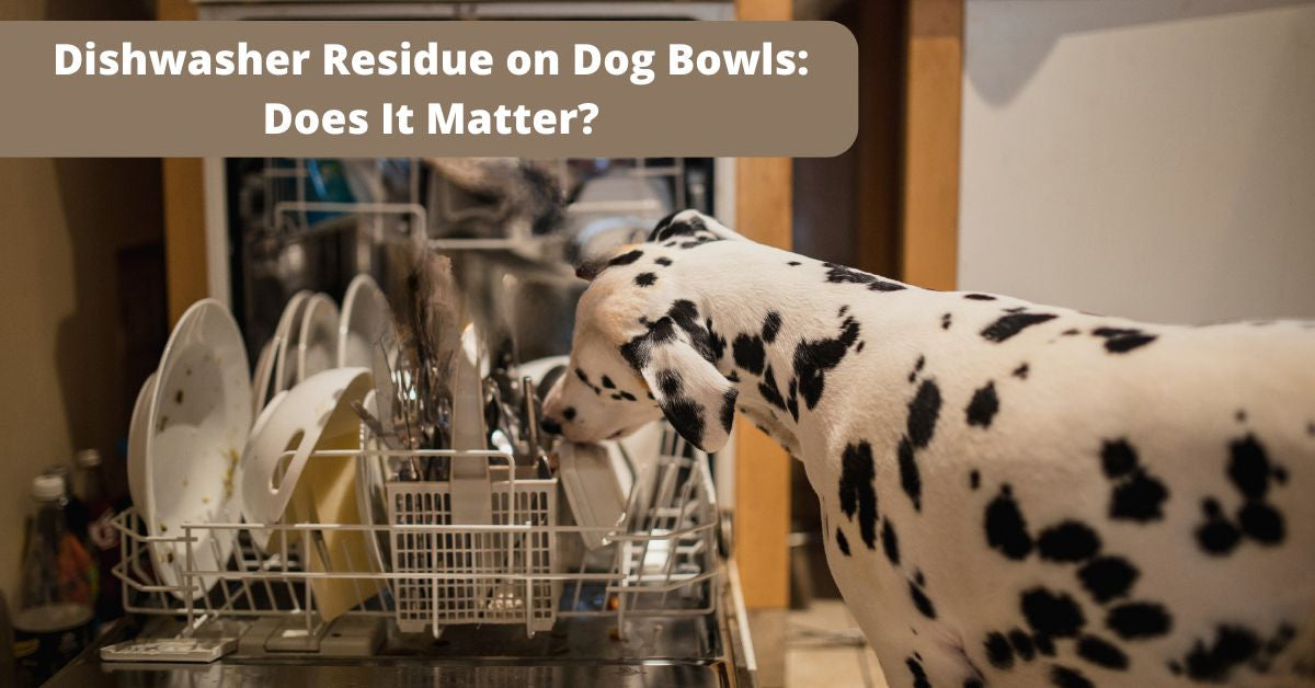 Dishwasher Residue on Dog Bowls: Does It Matter?