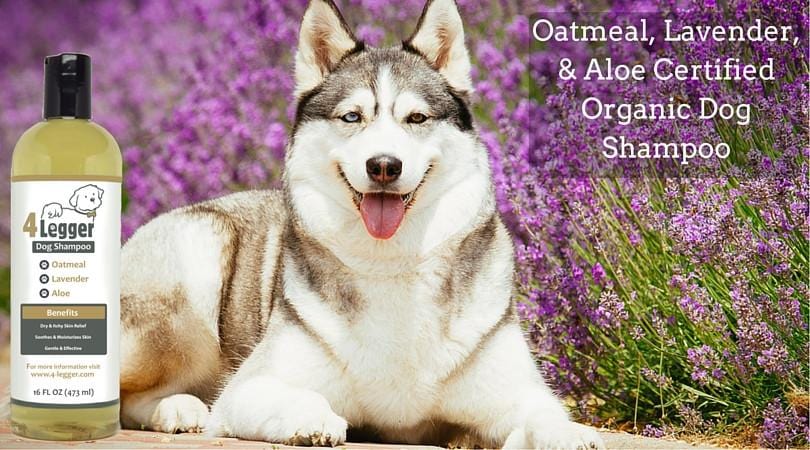 4-Legger Oatmeal, Lavender, and Aloe Certified Organic Oatmeal Dog Shampoo
