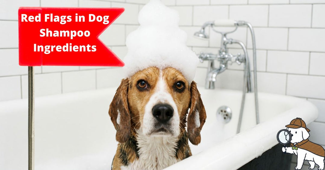 If your dog has sensitive skin, check your shampoo for these red flags