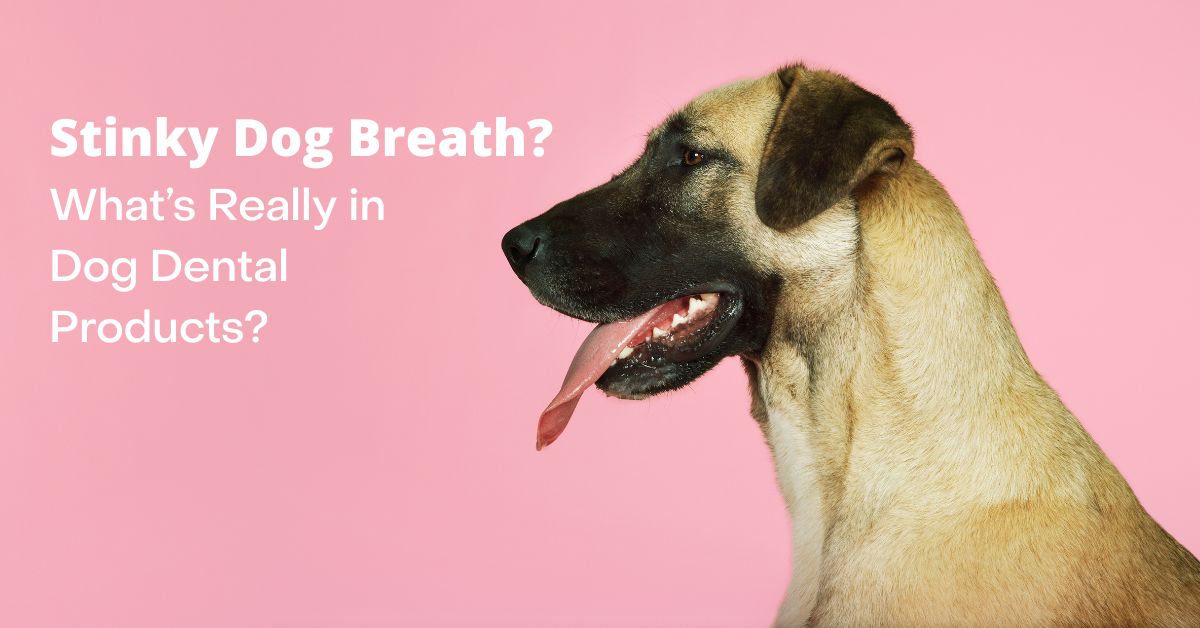 stinky dog breath what is really in dog dental products
