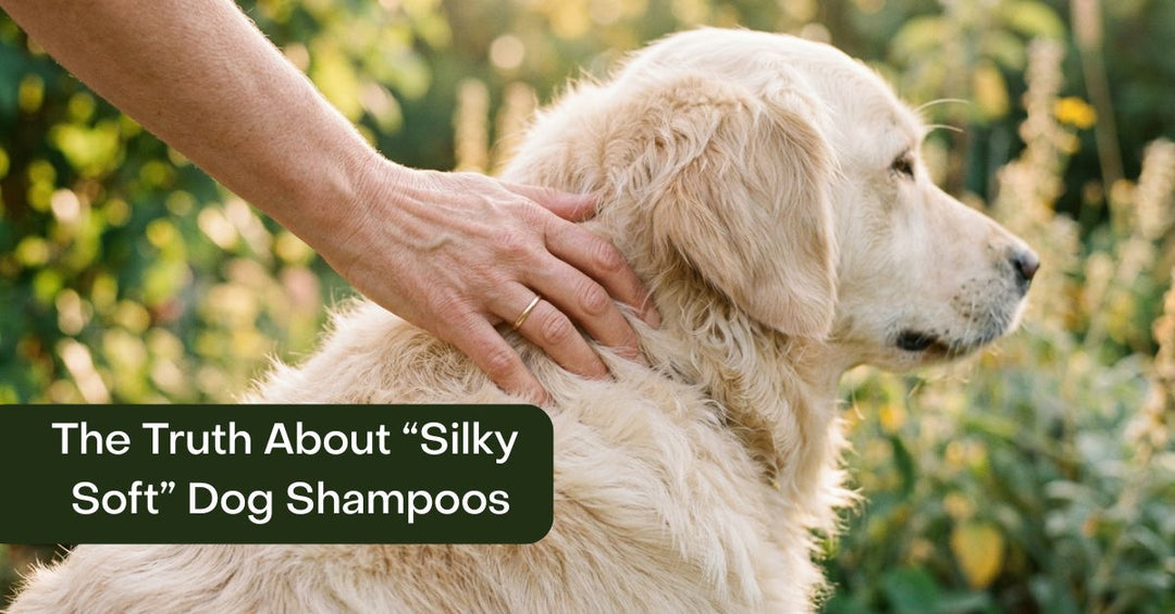 Learn the truth about silky soft dog shampoo