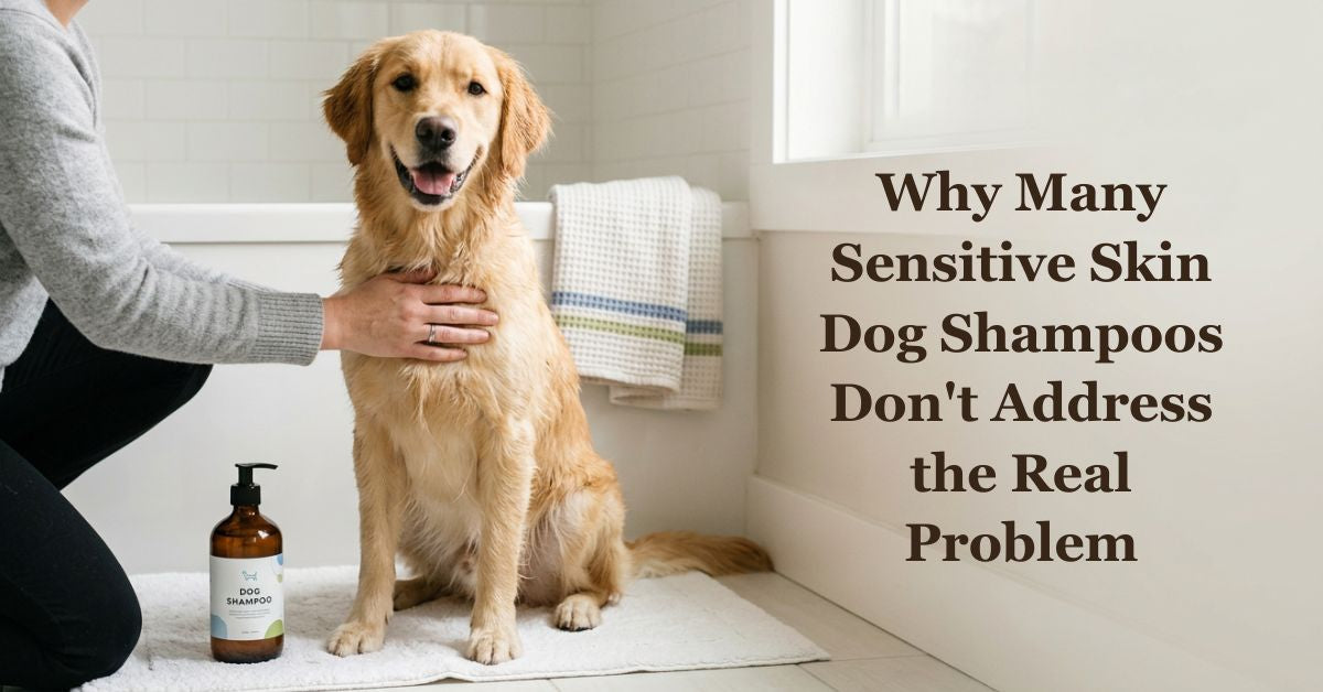 Why Many Sensitive Skin Dog Shampoos Don't Address the Real Problem