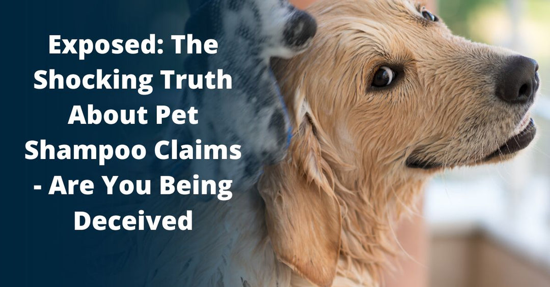 explore the claims behind medicated dog shampoo