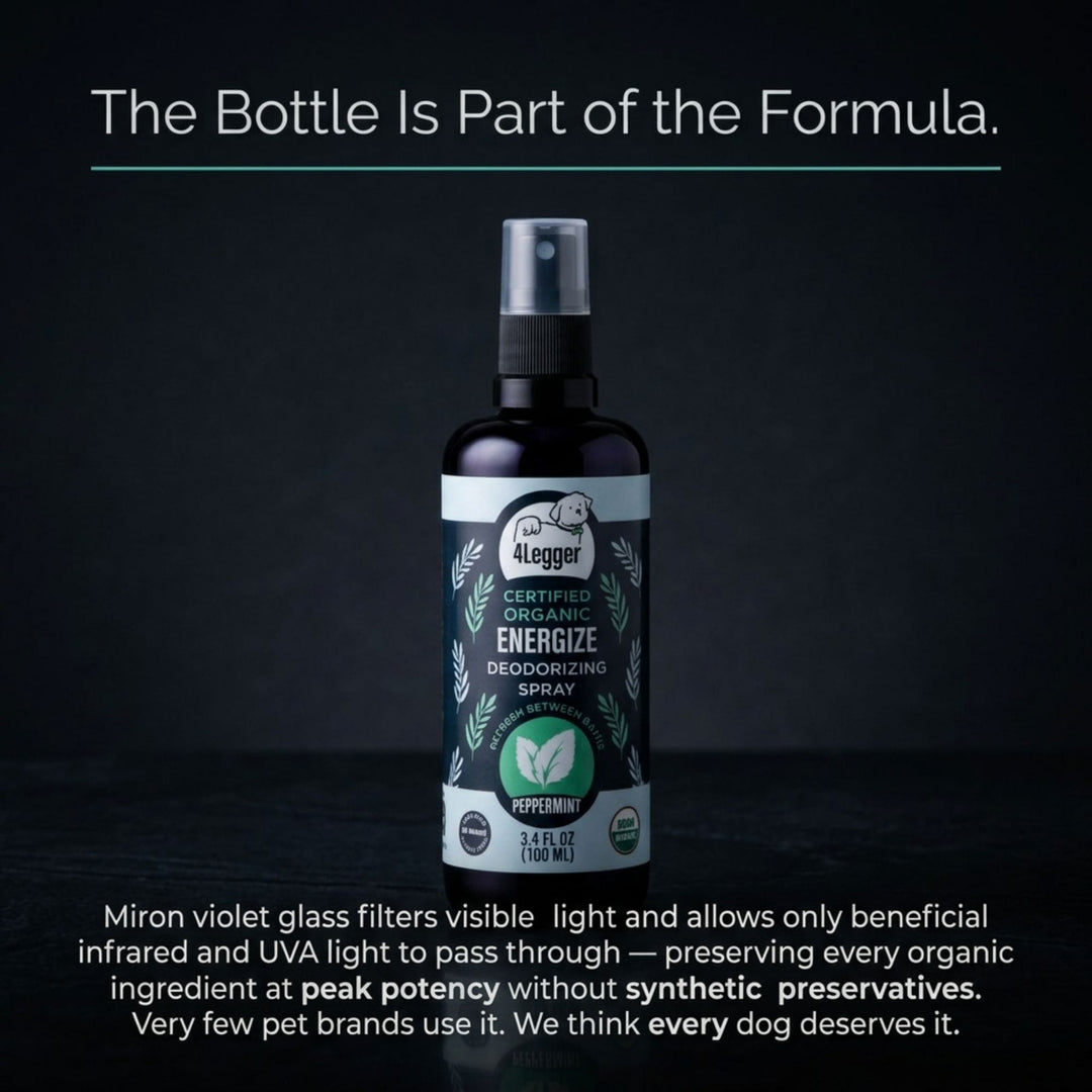 Close-up of Miron violet glass bottle used for 4-Legger ENERGIZE peppermint dog spray without preservatives