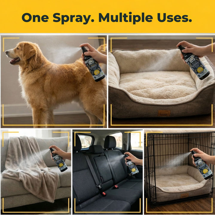 4-Legger REJUVENATE lemongrass dog sprayused on coat bedding blankets car seat andcrate