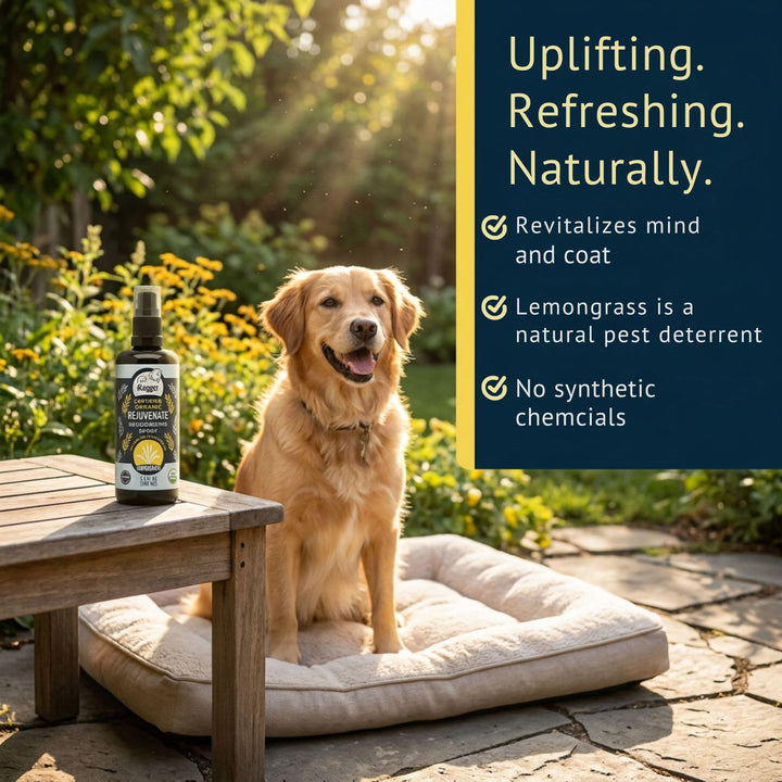 4-Legger organic lemongrass dog spray aromatherapy benefits - uplifting and refreshing