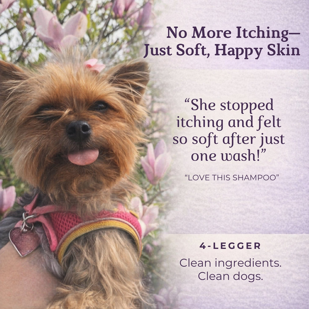 4-Legger CALM Lavender shampoo is safe for all breeds, puppies, seniors, and sensitive skin
