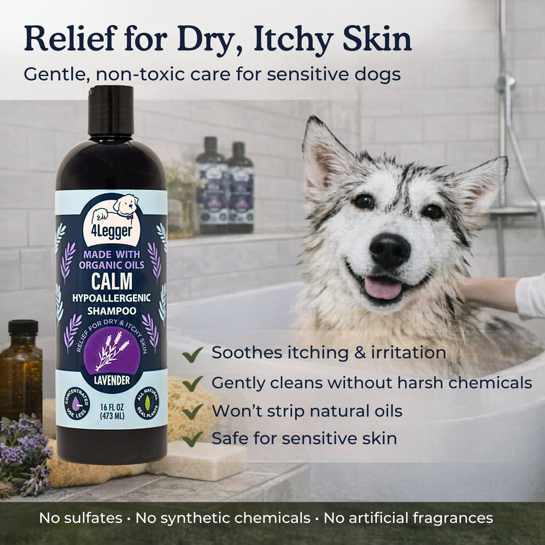 4-Legger CALM Lavender concentrated formula — use less per bath than conventional dog shampoos