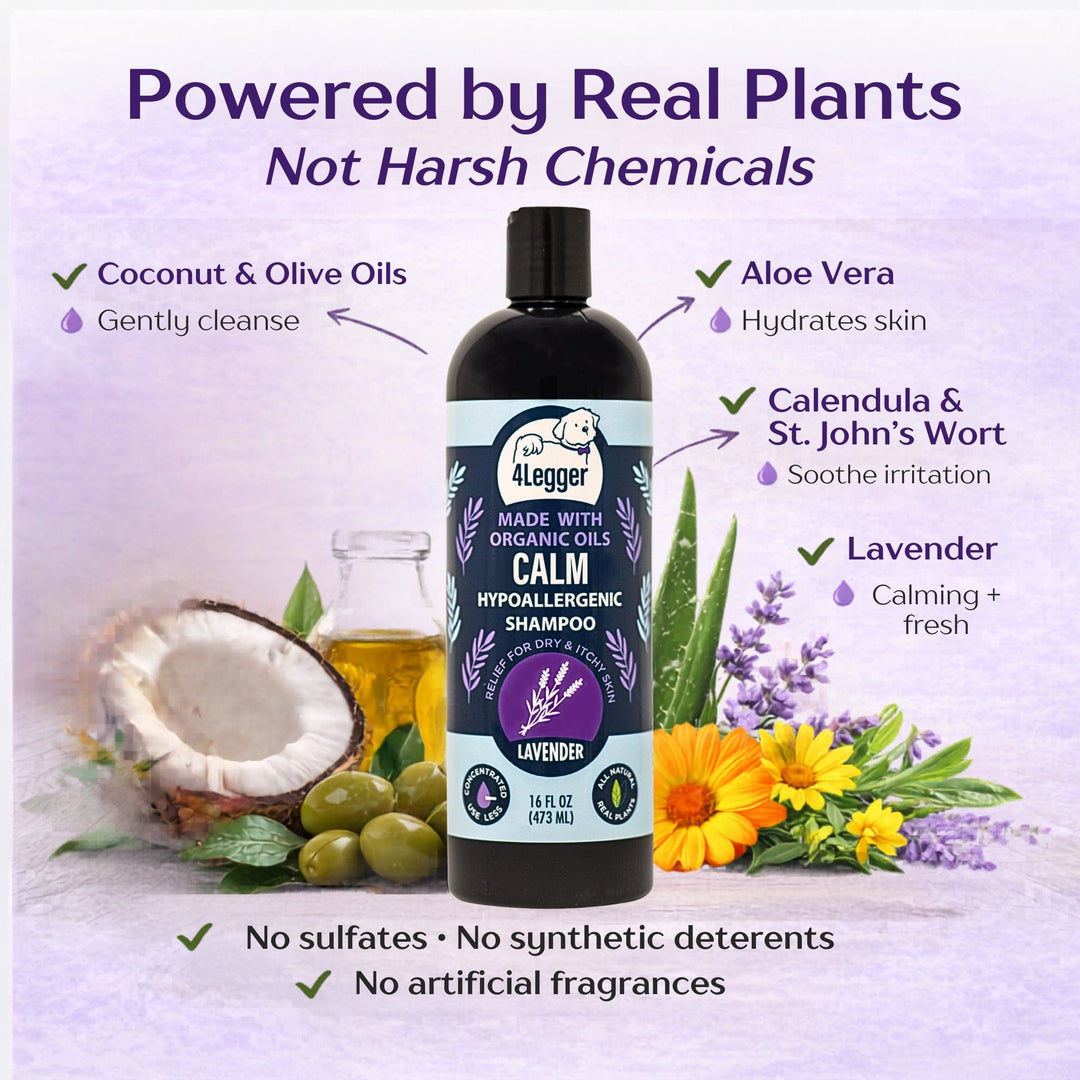 4-Legger CALM Lavender shampoo certified to USDA Organic human food grade standards