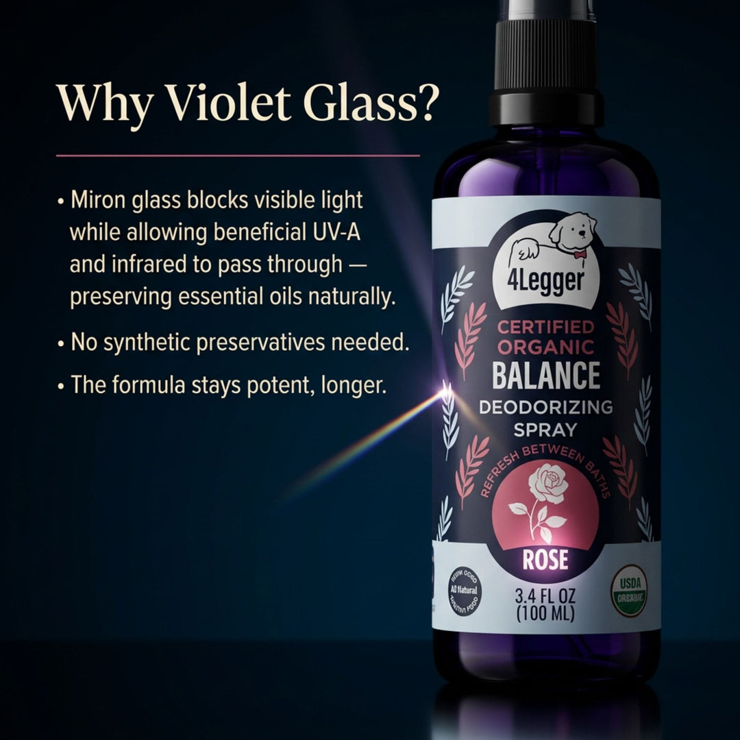 4-Legger Miron glass bottle close-up — violet glass preserves organic essential oils naturally