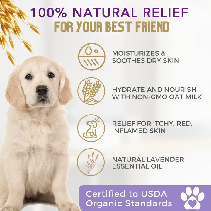 best oatmeal dog shampoo itchy skin