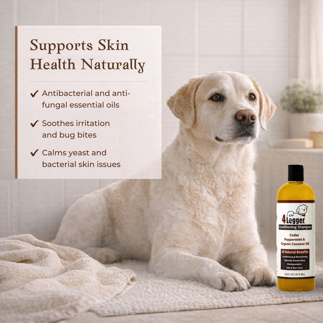 dog next to 4-Legger cedar shampoo bottle with skin health benefit callouts