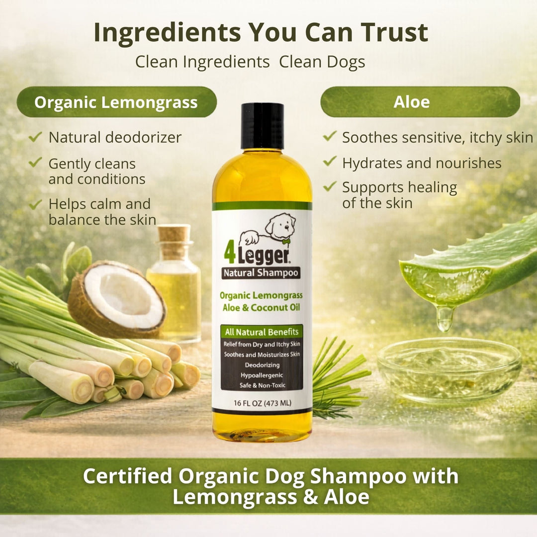 Organic lemongrass and aloe vera ingredients in 4-Legger certified organic dog shampoo — natural deodorizer and skin soother