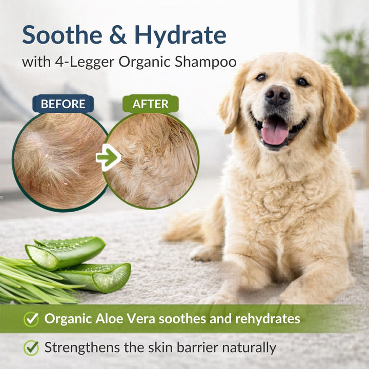 Before and after organic dog shampoo for dry itchy skin — 4-Legger lemongrass aloe soothes and hydrates