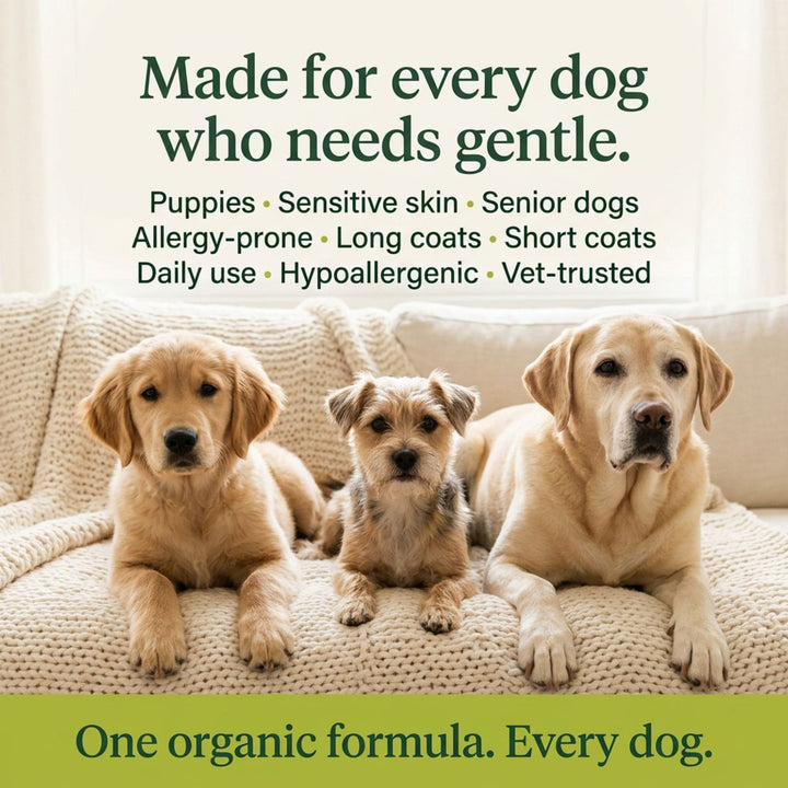 Three dogs of different breeds showing organic shampoo is gentle for puppies sensitive skin and senior dogs