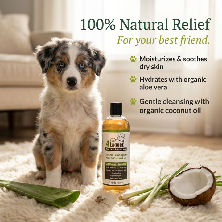 Australian shepherd puppy beside organic dog shampoo bottle showing moisturizing soothing and aloe vera hydration benefits